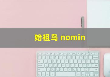 始祖鸟 nomin